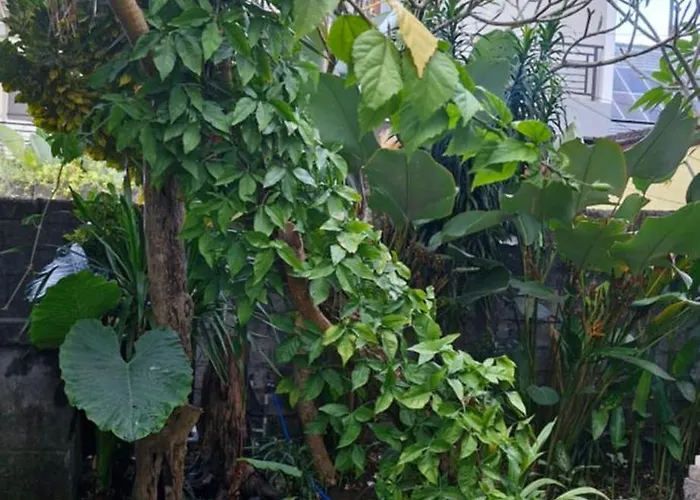 Cozy 2br With Kitchent In Kampial Nusa Dua (Bali)